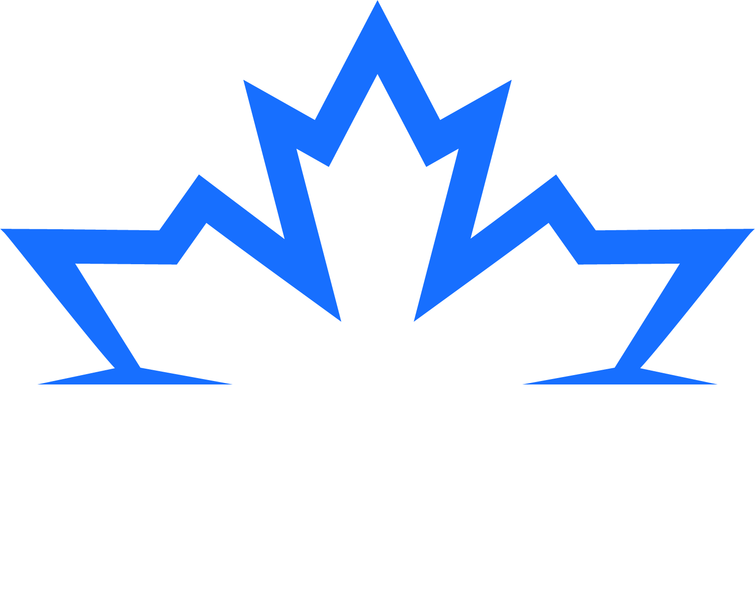 AG DRONES